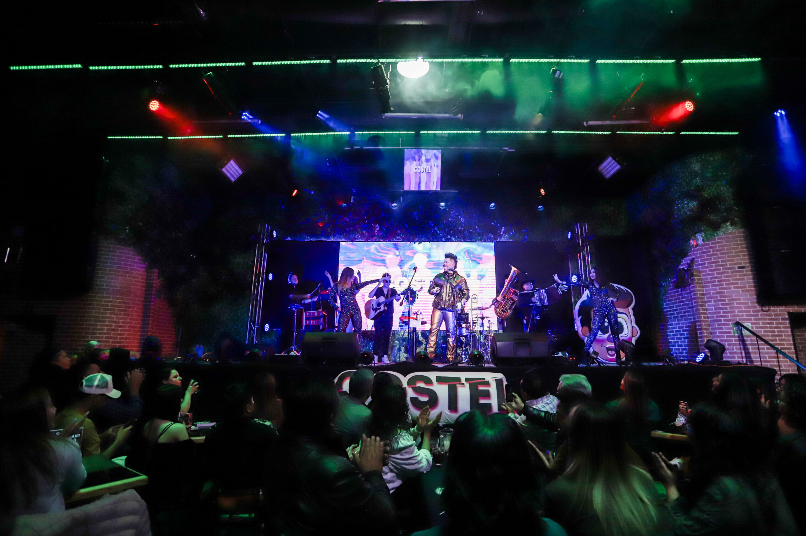 Costel en concierto 3